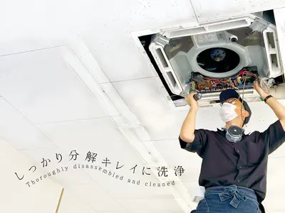 【抗菌コート無料】【オーガニック洗剤】使用可★保険加入済み！女性スタッフ同行可