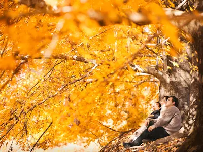 【全データレタッチ】ASDの子を育てるパパがお子様の特性に寄り添った撮影をします