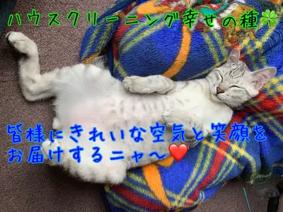 保護猫４匹と暮らす動物好き店長がお伺いします♪ペット目線のクリーニングで安心施工