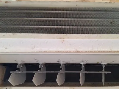 5年の実績・1000台以上の経験！安心の女性2名体制