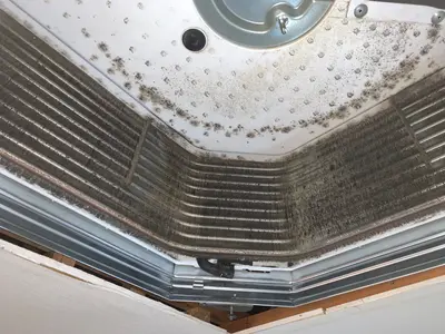 年末大掃除価格！早い者勝ち！施工前後の写真は下の方のブログに載せてます！