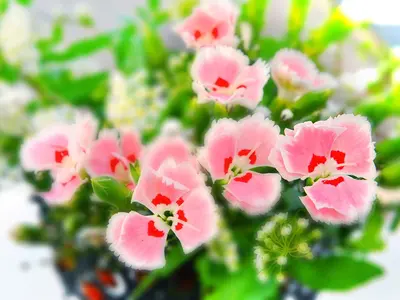 《雑誌撮影経験あり》◎駐車場代要相談◎