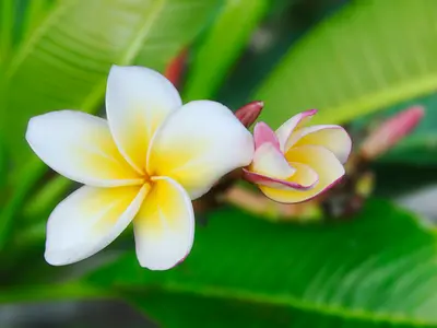 《雑誌撮影経験あり》◎駐車場代要相談◎