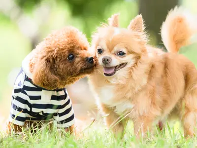 【アワード8年連続入選】ご家族の皆さまの魅力を引き出し、 最高の一瞬を写し出す