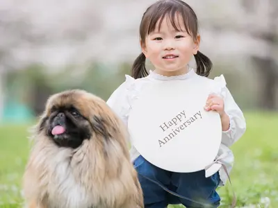 【アワード8年連続入選】ご家族の皆さまの魅力を引き出し、 最高の一瞬を写し出す