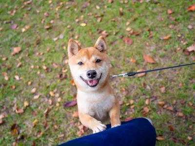 作業外注一切なし◎予約対応〜撮影・納品まで、当社スタッフがすべてご対応！