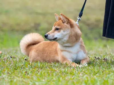 作業外注一切なし◎予約対応〜撮影・納品まで、当社スタッフがすべてご対応！