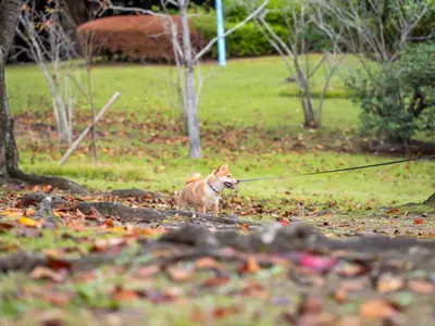 作業外注一切なし◎予約対応〜撮影・納品まで、当社スタッフがすべてご対応！