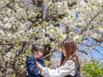 プロの技術でご満足いただけるように心を込めて撮影いたします