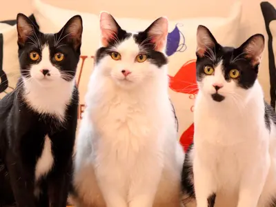 【低価格＆高品質＆即納】お客様の「こう撮りたい」を叶えます♪