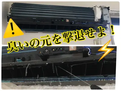 ペットがいるご家庭でも安心してお任せください！カビ、嫌な臭いを一気に除去します♪