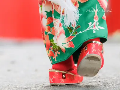 せんちゃんとみーちゃんの写真館