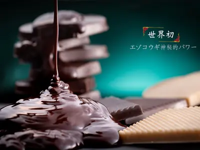 料理・店舗・会社・建築・商品・ポートレイト撮影