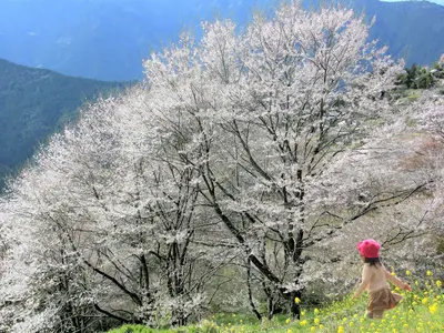 愛媛県密着、人生のお祝いを素敵にメモリーします！プロの技術で納得の仕上がりに！