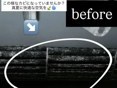 シーズン終盤 最安値値引き！基本料金より3000円安くなりました◎千葉県出発