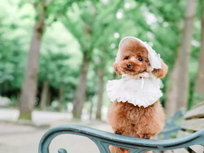 現役のプロカメラマンが美しく洗練された写真をお届けします！