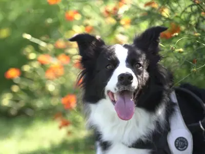 プロの技術でご満足いただけるように心を込めて撮影いたします