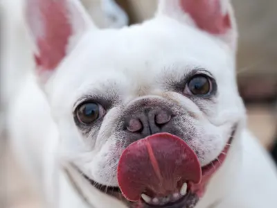 プロの技術でご満足いただけるように心を込めて撮影いたします