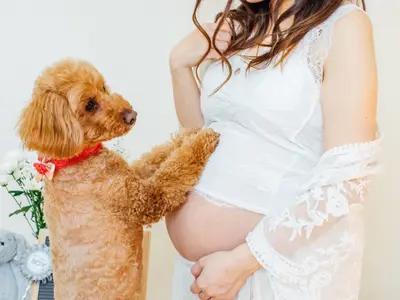 大手広告会社にて実績多数！お客様の大切な瞬間を一枚の作品にしませんか？