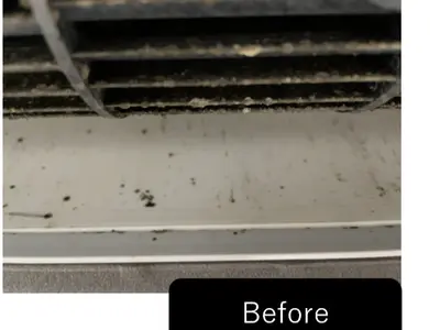 ☆キャンペーン中！複数代割引あり！体に優しいエコ洗剤を使用！