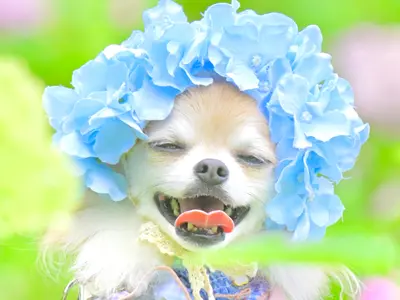 ご家族との思い出を撮ります！