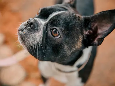 プロの技術でご満足いただけるように心を込めて撮影いたします