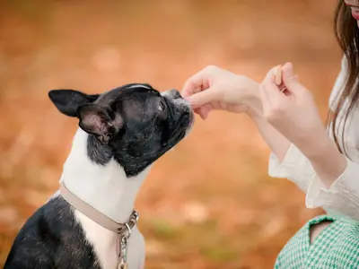 プロの技術でご満足いただけるように心を込めて撮影いたします