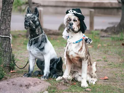 【相模原発！大切な家族との記憶をそのまま残します】