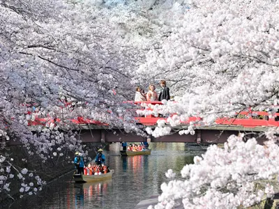 せんちゃんとみーちゃんの写真館