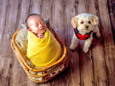 海外フォトコン3年連続受賞/ポージング撮影/JNSA認定資格者/1時間毎1ポーズ