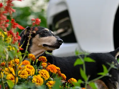 想い出に残る一枚を!店長自ら出張撮影致します。