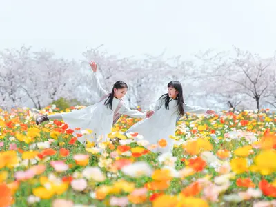 桜や新緑の中で素敵な家族写真を！楽しい雰囲気で自然な表情を撮影しています