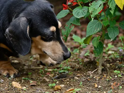 ◎年中無休◎店長の私が撮影します◎営業時間外も対応OK！お任せください