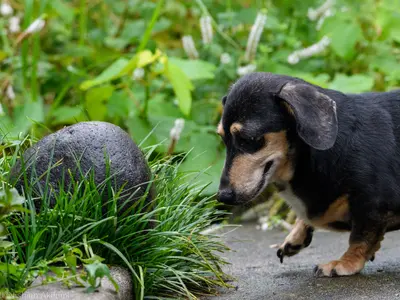 ◎年中無休◎店長の私が撮影します◎営業時間外も対応OK！お任せください