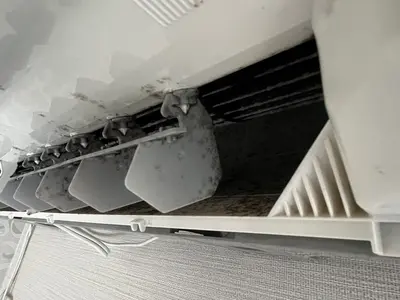 ★オープン記念キャンペーン中★期間限定料金