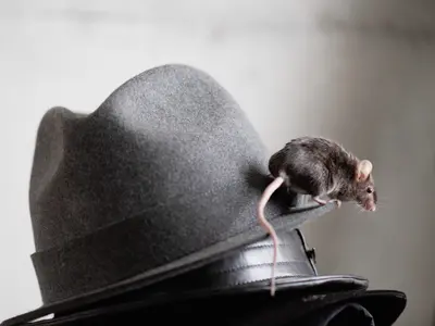 光の演出で被写体の魅力が伝わる自然体で印象深い写真を撮影いたします