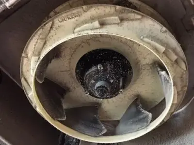 【年中無休で対応◎】オープン記念特価！1日2名様限定　　P代無料　安心の当店へ！