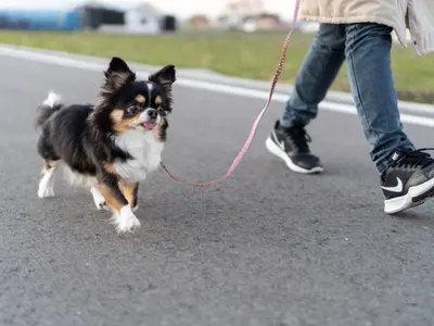 【プレビューしながら撮影可】プロフィール用、記録用など全般対応可【動画も可】