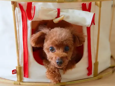 ＜安心の自社対応！作業外注一切無し＞営業時間外のご予約も相談OK◎