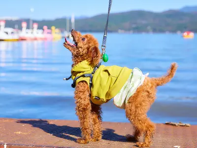 ＜安心の自社対応！作業外注一切無し＞営業時間外のご予約も相談OK◎