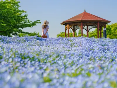 マッチングアプリ　結婚相談所用　写真　平日撮影がオススメ