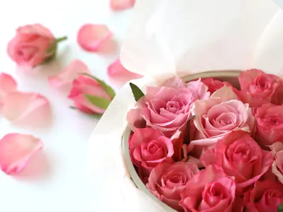 【富山石川エリア】お店やオフィス、宣材写真の撮影はお気軽にお問合せください！