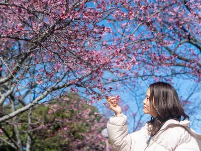 【全写真レタッチにて納品！ お望みのイメージに仕上げます！】