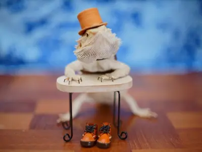 女性スタッフ同行可★非喫煙者◆あなたのかわいいペットを素敵な一枚に！