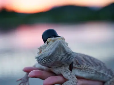 女性スタッフ同行可★非喫煙者◆あなたのかわいいペットを素敵な一枚に！