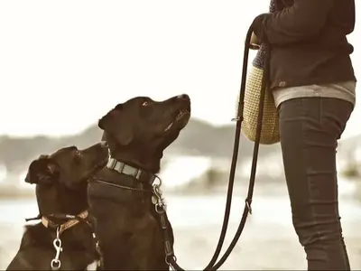 ご家族やペットの大切な瞬間を撮影。時給のみでカット数無制限。お急ぎなら翌日納品可