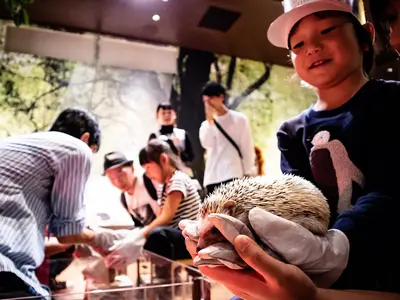 《年中無休で撮影》思い出を自然体で美しい写真に残します◎