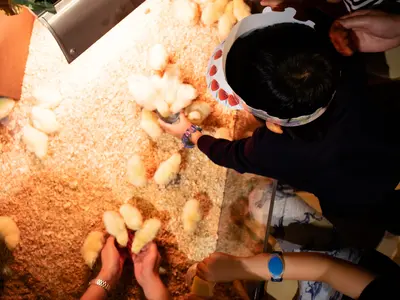 《年中無休で撮影》思い出を自然体で美しい写真に残します◎