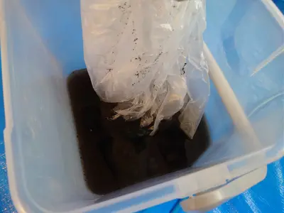 【東京23区】損害保険加入済◎日本ハウスクリーニング協会所属の有資格者が伺います