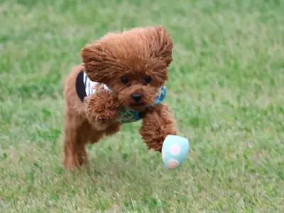 プロの技術でご満足いただけるように心を込めて撮影いたします